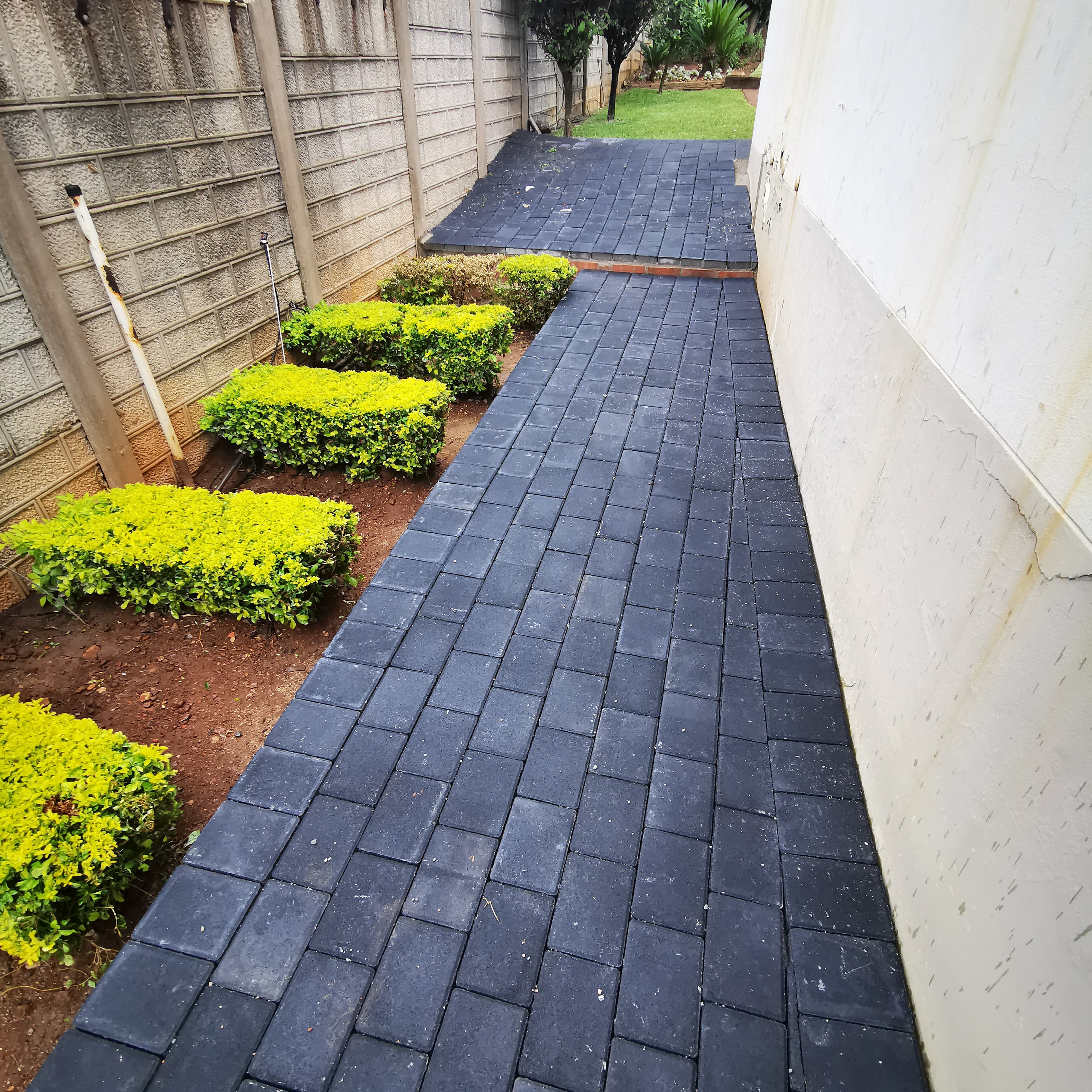 Paving 31